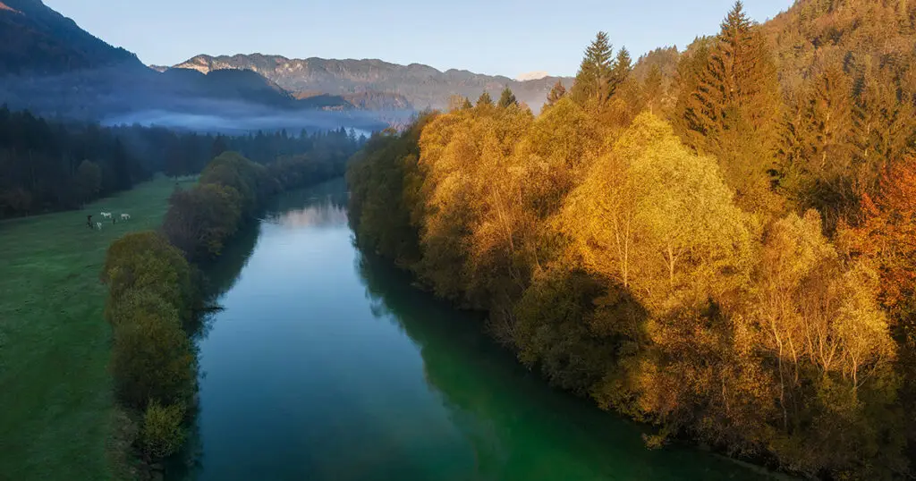 website header planning across agencies